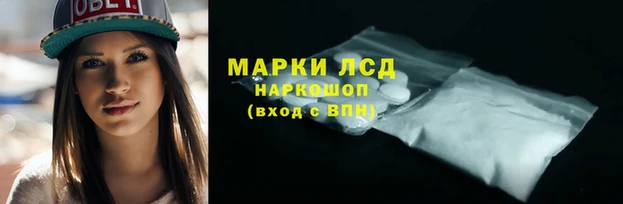прущие крисы Балахна