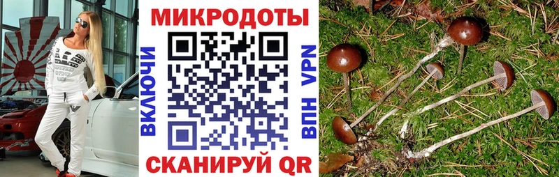 Галлюциногенные грибы Magic Shrooms  Каменск-Шахтинский 